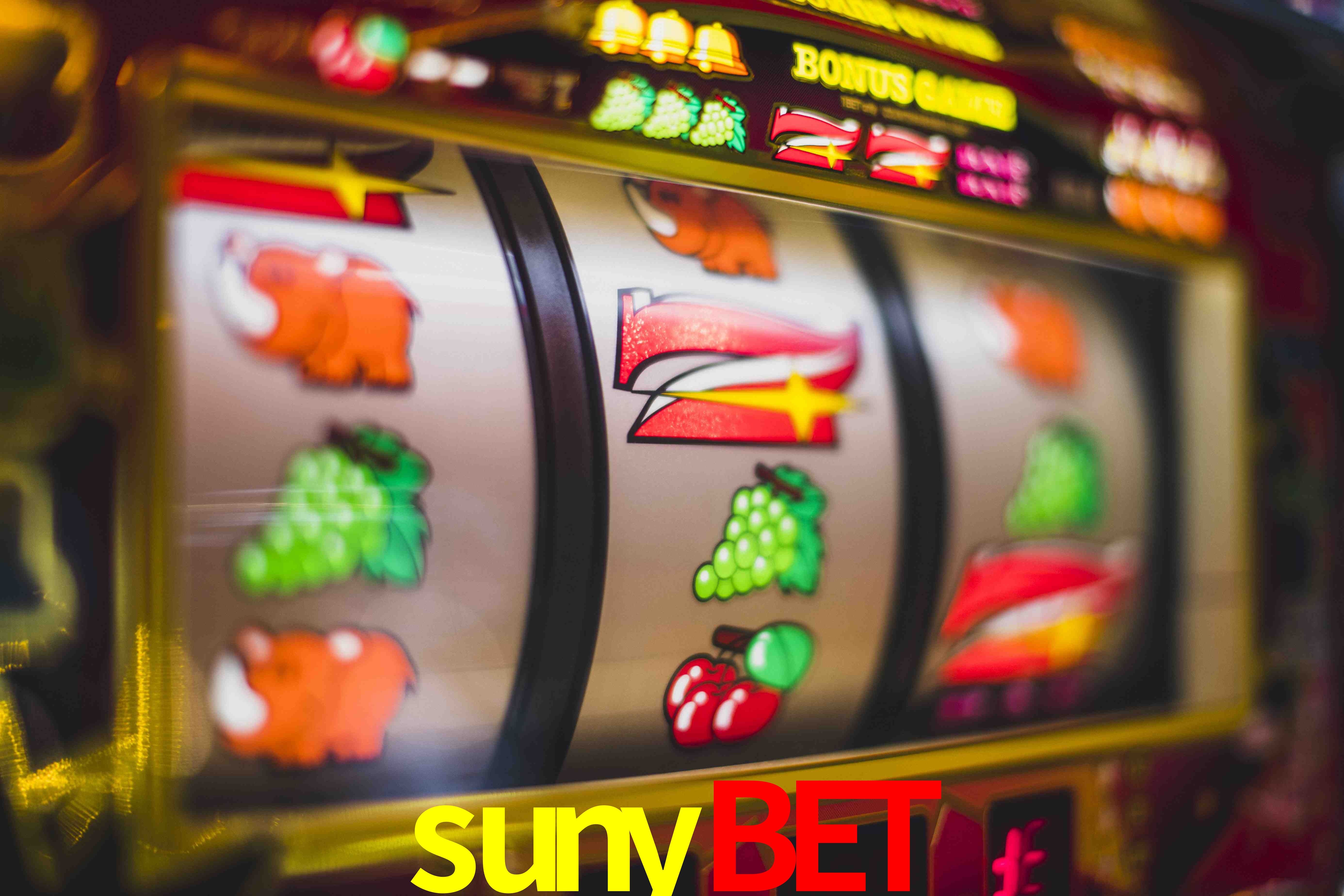 Basketball Betting sunybet